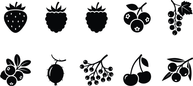 Wild Berries and Forest Fruit Icon Set with Strawberry, Raspberry, Blueberry, Currant, Cranberry, Cherry, Gooseberry, and Elderberry