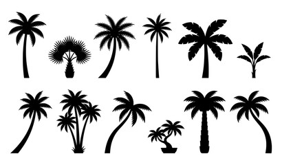 Naklejka premium Tropical palm tree silhouette collection with diverse coconut and exotic palm shapes isolated on white