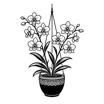 Orchids in Hanging Planter