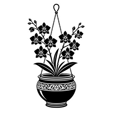 Orchids in Hanging Planter