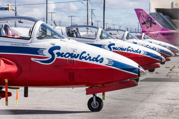 Obraz premium Toronto, Canada, September 6, 2026; Canadian Air Force Snowbird Tutor demonstration team jets parked on the tarmac at Toronto Pearson International Airport YYZ
