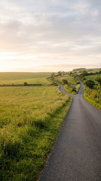 A scenic asphalt country road splits into two divergent paths amidst rolling green fields under a soft morning sky