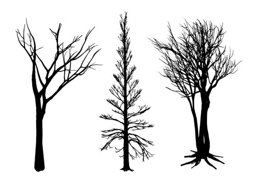 Black Tree Silhouette Collection