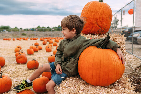 Boy in Pumkin Patch