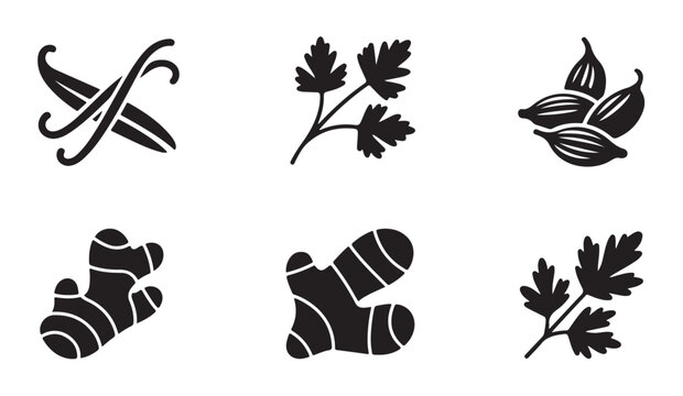 Ginger root parsley leaves cardamom and vanilla black silhouette icons set for spice shop branding.