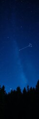 Fototapeta premium Night sky over conifer forest, Virgo constellation prominent, forest, evergreen