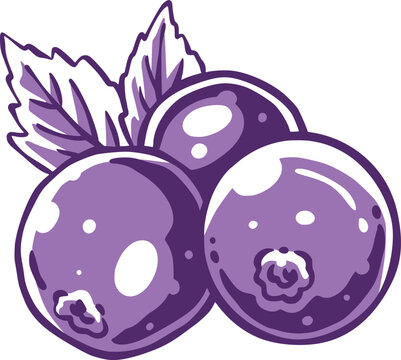 Stylized purple blueberries with serrated leaves