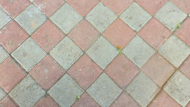 Weathered paving tiles with natural outdoor stains and wild bird feeding leftovers.