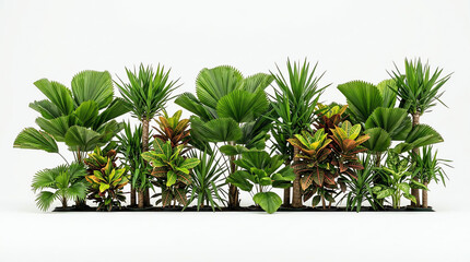 Obraz premium Diverse Tropical Plants Assortment Isolated on White Background