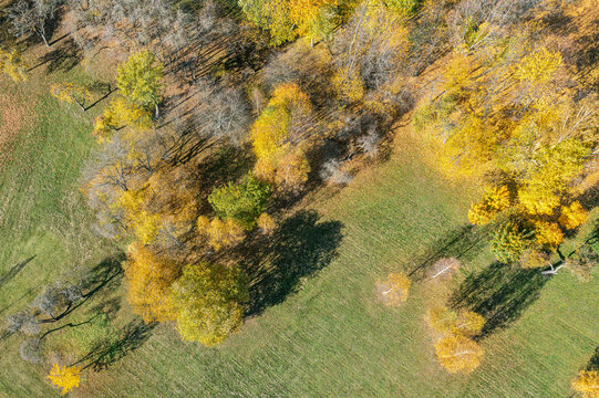 picturesque public city park in autumn. aerial top view from flying drone.