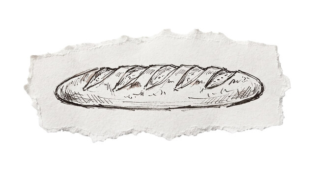 Hand drawn French baguette sketch isolated on white background, bakery menu mockup and artisanal bread shop advertising banner