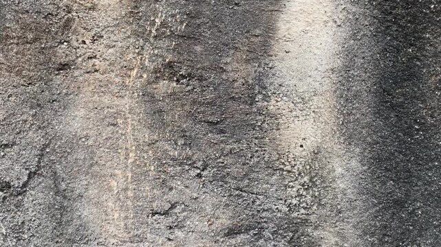 Weathered concrete wall texture with dark mold spots, fine cracks, and rough dirty plaster surface background.