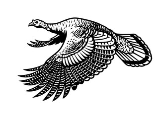 Fototapeta premium wild turkey flying hunting vector illustration black and white