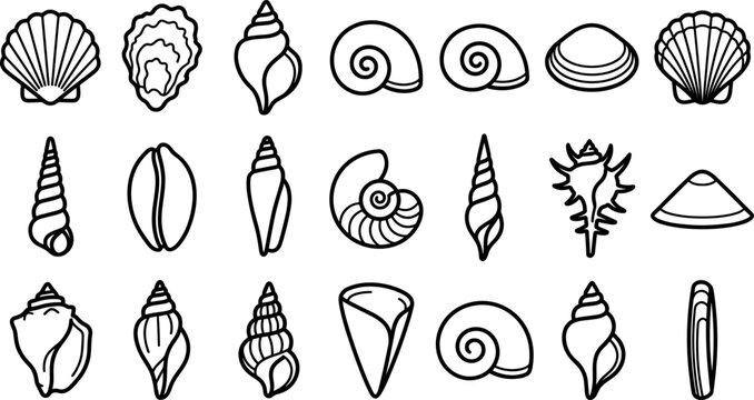 Sea shells and marine ocean mollusk line icon set for seafood restaurant branding and travel website interface layout design