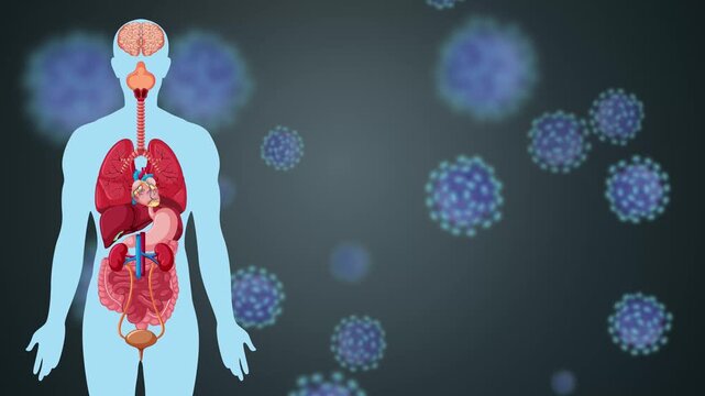Human Anatomy Silhouette with Internal Organs and Floating Virus Background
