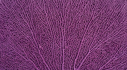 Fototapeta premium Purple Sea Fan Coral Texture Background