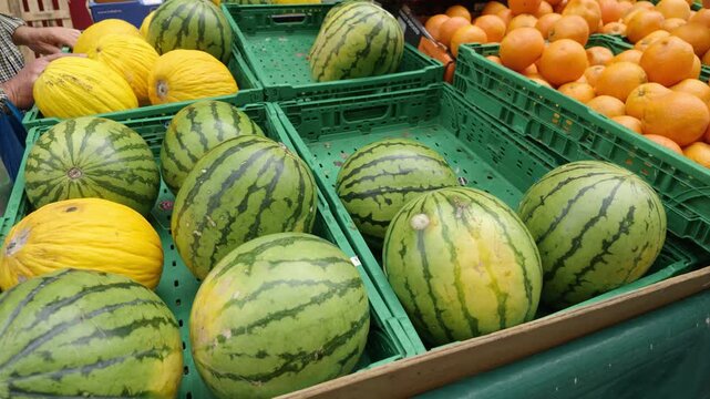 Fresh watermelons, yellow melons, and oranges displaying in green crates at an outdoor market