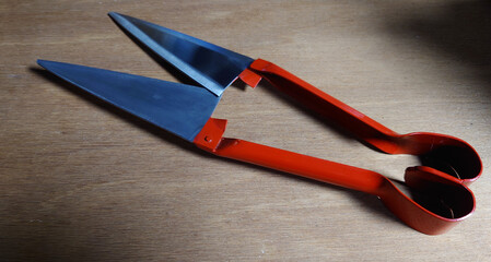 sheep shears for removing wool fleece  © Richard Marx