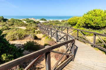 sand dunes that give access to La Barrosa beach in Sancti Petri, Cadiz, Spain © josevgluis