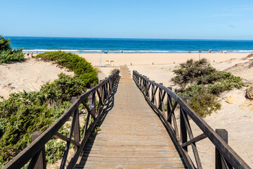 sand dunes that give access to La Barrosa beach in Sancti Petri, Cadiz, Spain © josevgluis