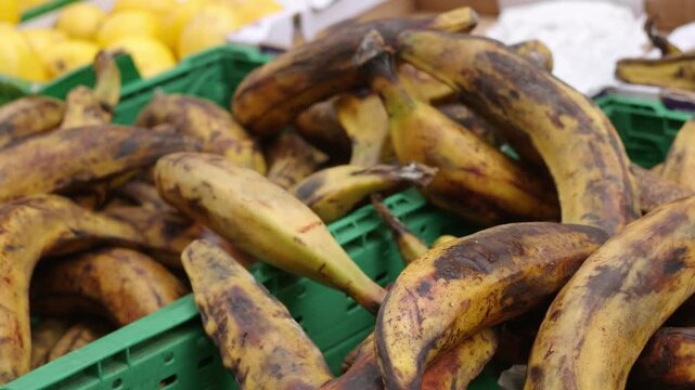 Ripe plantains filling a green crate, ready for purchase at a market