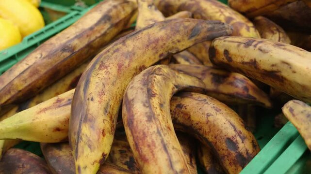 Plantains with yellow and brown skins displaying ripeness in a green crate