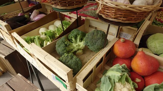 Fresh seasonal vegetables filling wooden crates at a local outdoor market in Paris
