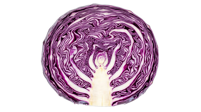 Cross Section of Red Cabbage Vegetable Top View PNG Isolated on a transparent background