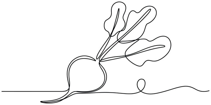 Fresh beetroot vegetable drawn with a single continuous black line art style Vector, illustration