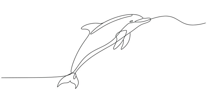 Continuous single line drawing of a jumping dolphin Vector, illustration