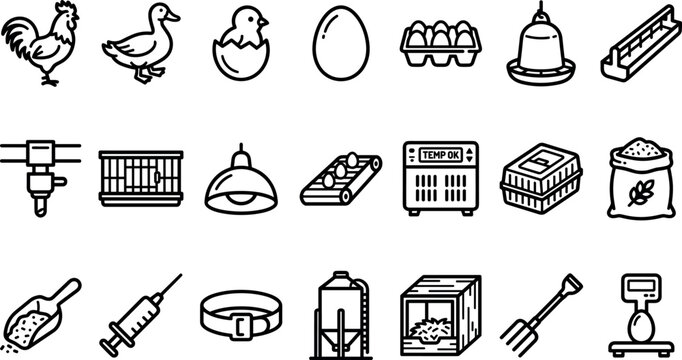 Poultry farming and chicken livestock line icon set featuring rooster egg incubator cage feeder and agriculture equipment vectors