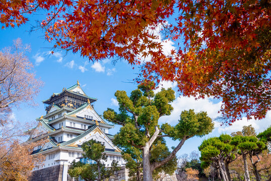 The castle is one of Japan's most famous landmarks and it played a major role in the unification of Japan during the sixteenth century, Osaka Castle Japan
