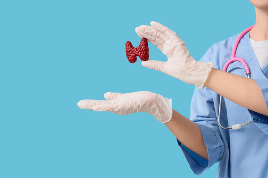 Thyroid health and endocrine system awareness, doctor holding anatomical model of thyroid gland for medical diagnosis and hormone treatment consultation
