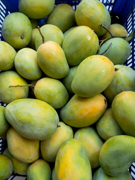 Top view close-up of fresh ripe harumanis mangoes with green and yellow skin harvested in a plastic crate at a local fruit market