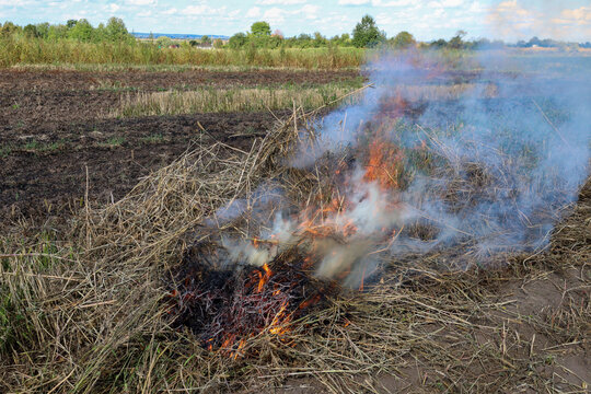 Fire burns dry grass and crop residues on an agricultural field, releasing thick smoke into the air. Stubble burning degrades the soil structure, destroys beneficial nutrients, and elevates the danger