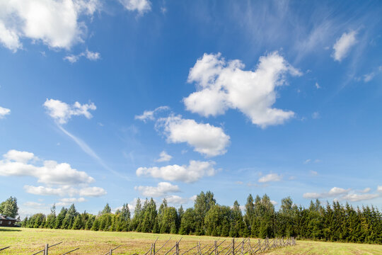 White Cumulus Clouds on Blue Summer Sky