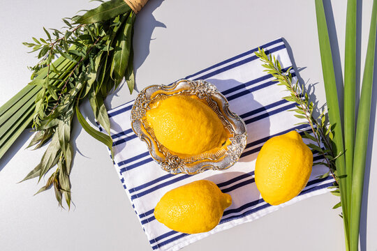 Traditional symbols of the Jewish holiday of Sukkot. yellow etrog fruits on a silver platter and a white and blue towel. Ritual plants of the holiday.