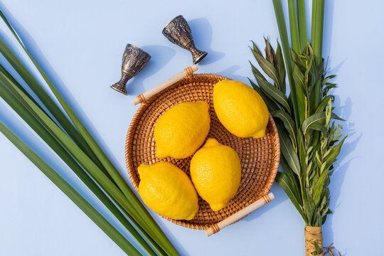 Juicy yellow etrog fruits lie in a wicker tray among the traditional ritual plants of the Sukkot holiday and two glasses. Top view. Blue background.