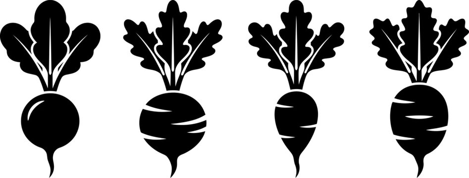 Beetroot and radish icon set featuring fresh root vegetable illustrations with leaves in black and white vector silhouette graphic design.