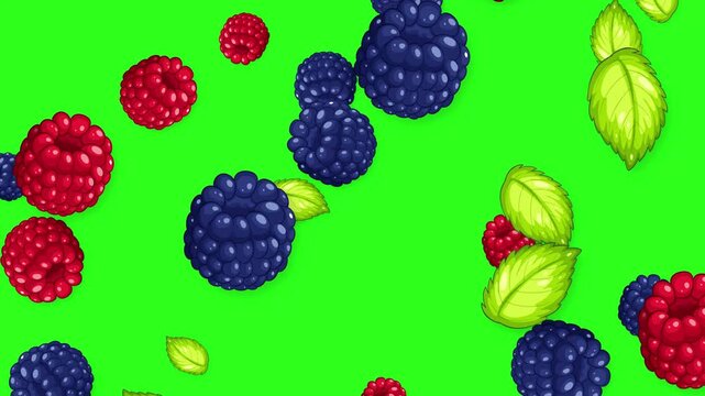 Falling Mixed Berries and Mint Leaves Animation on Green Screen