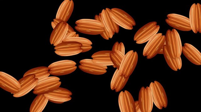 Abstract Animation of Bursting Brown Seeds on Black Background
