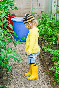 Child wearing knitted bee hat and yellow rubber boots. Kid standing in greenhouse looking at plants. Happy farmer concept for kids.