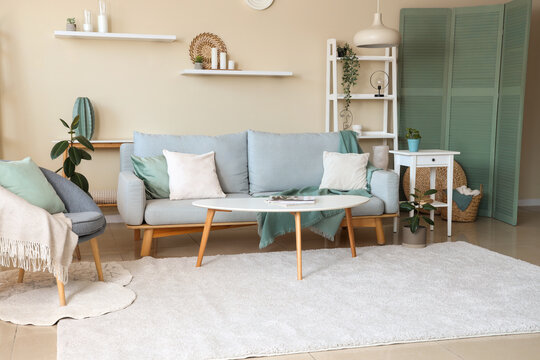 Interior of light living room with comfortable sofa, shelves and armchair