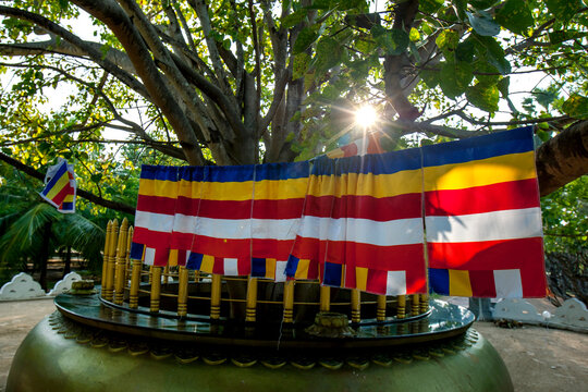 The sun shines through a Buddhist flag hanging from the Bodhi tree at Dambakola Patuna Sangamitta Temple at the Port of Jambukola near Jaffna in Northern Sri Lanka.