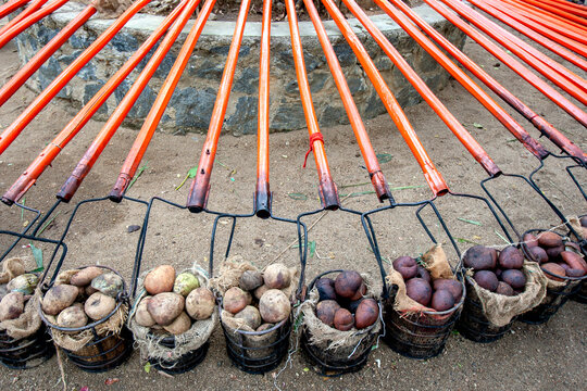 Fire torches packed with coconut husks sit ready to be used to light the route of the Buddhist Esala Perahera (great procession) at Kandy in Sri Lanka.
