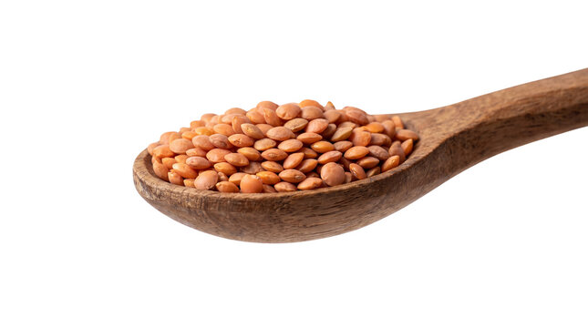 Red lentils in wooden spoon, raw organic pulses on rustic timber scoop, dry legume seeds for healthy cooking isolated on white