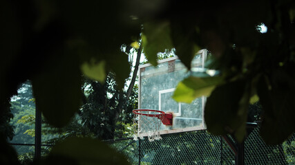 A candid, close-up photograph capturing an weathered outdoor basketball hoop and backboard, viewed through a natural frame of lush green tree leaves. © obby