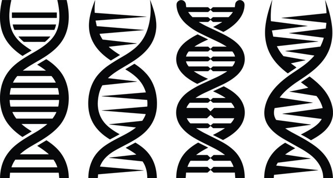 DNA Strand Helix Icon Vector Set Science Genetics Molecule Silhouette Collection Isolated White Background