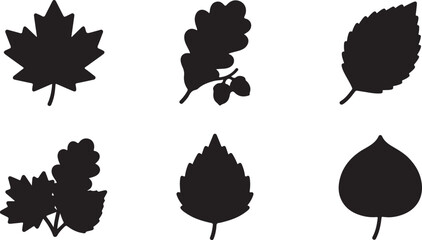 Fototapeta premium Set of black autumn leaf silhouettes for seasonal design and nature icons