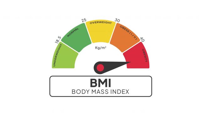 BMI Level Gauge Animation from Normal to Obese Indicator on Body Mass Index and Weight Health Assessment Background Motion Graphics . High BMI Level concept